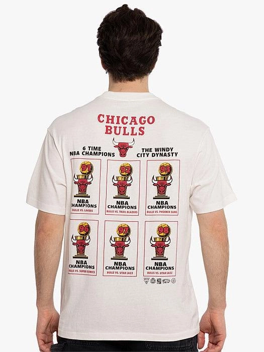 Chicago Bulls Stadium Banner Tee Easy Comfort