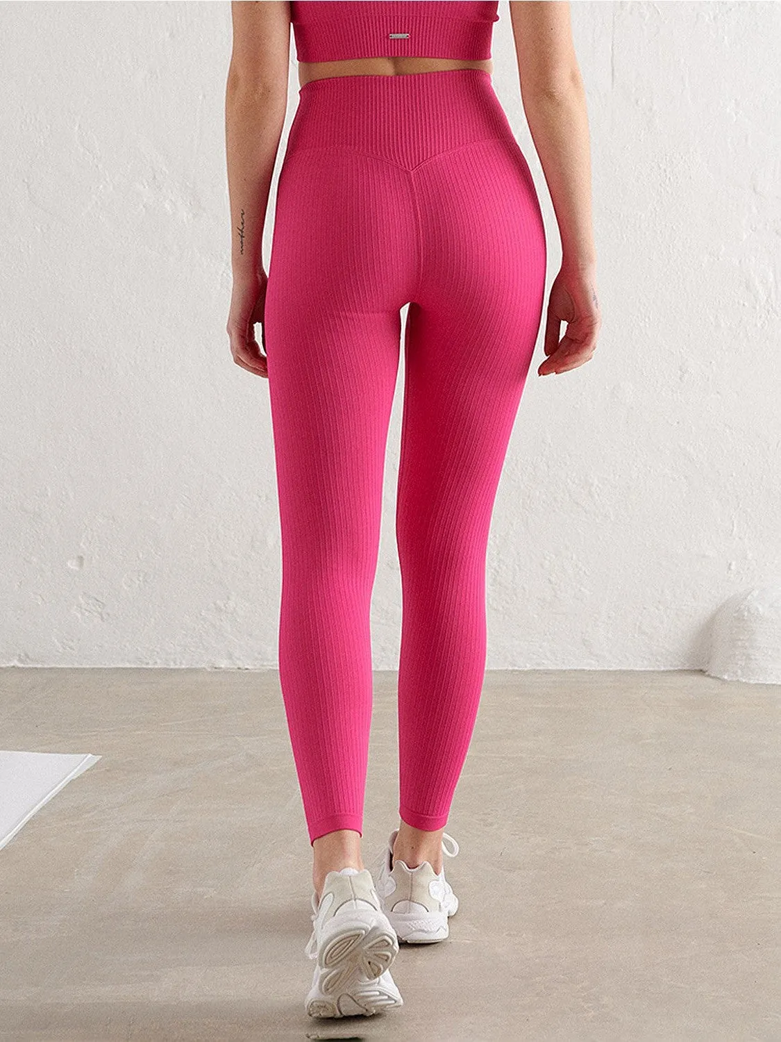 Sugar Rush Ribbed Seamless Tights Trendy Style Hiking Trail Soft Touch