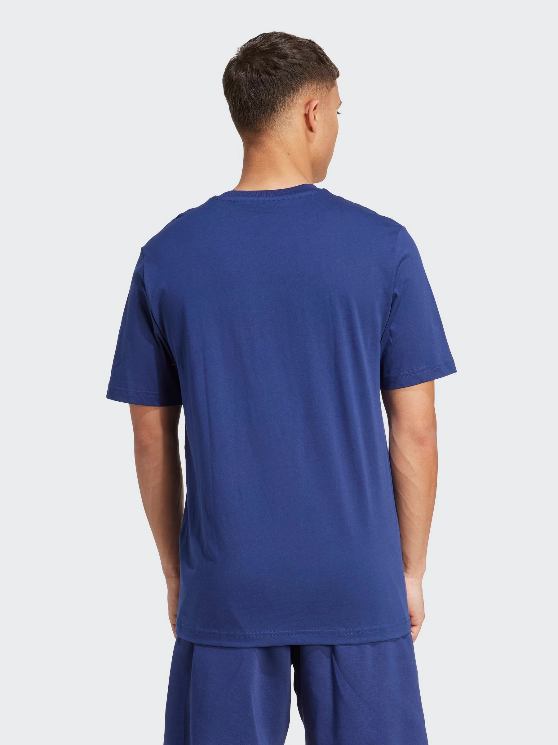 Cozy and Comfortable Collegiate Lineage Graphic T-Shirt