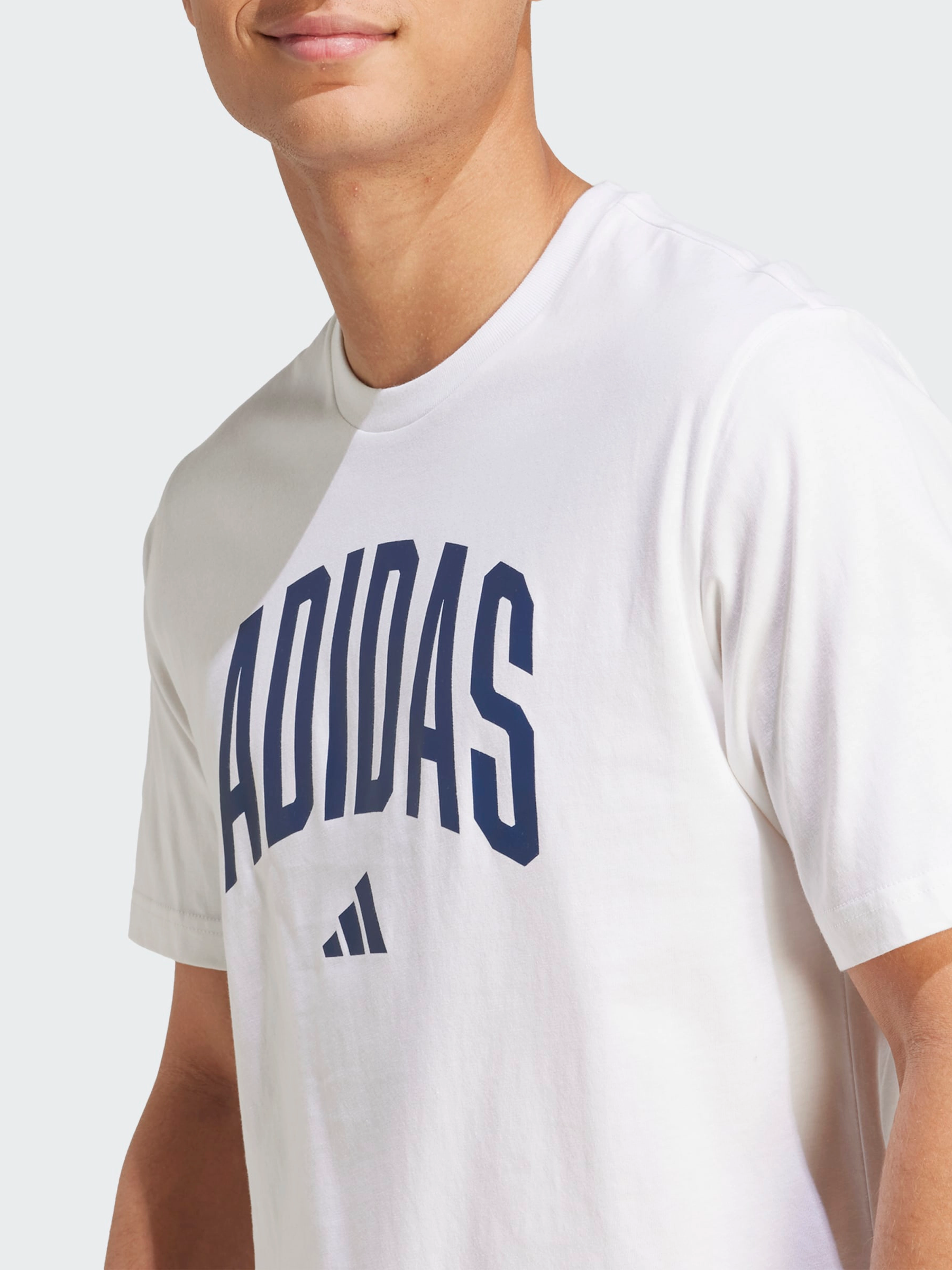 Collegiate Lineage Graphic Tee Low carbon footprint