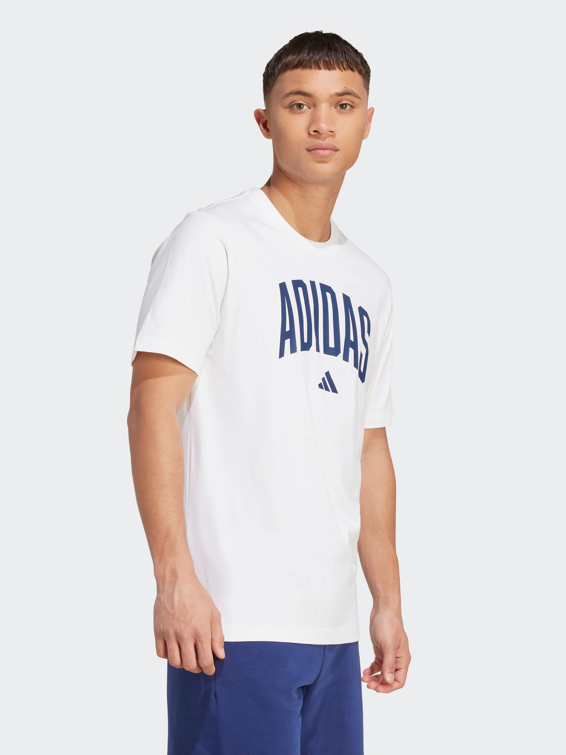 Collegiate Lineage Graphic Tee Light Fashion EasyCareFabric