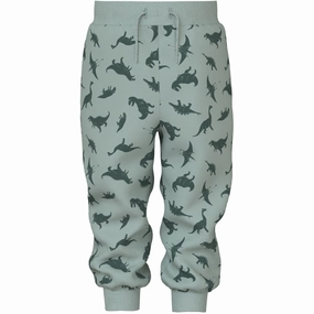 Name It Jadeite Lots Of Dinos Nmmvifelix Nreg Swe Pants Unb connected