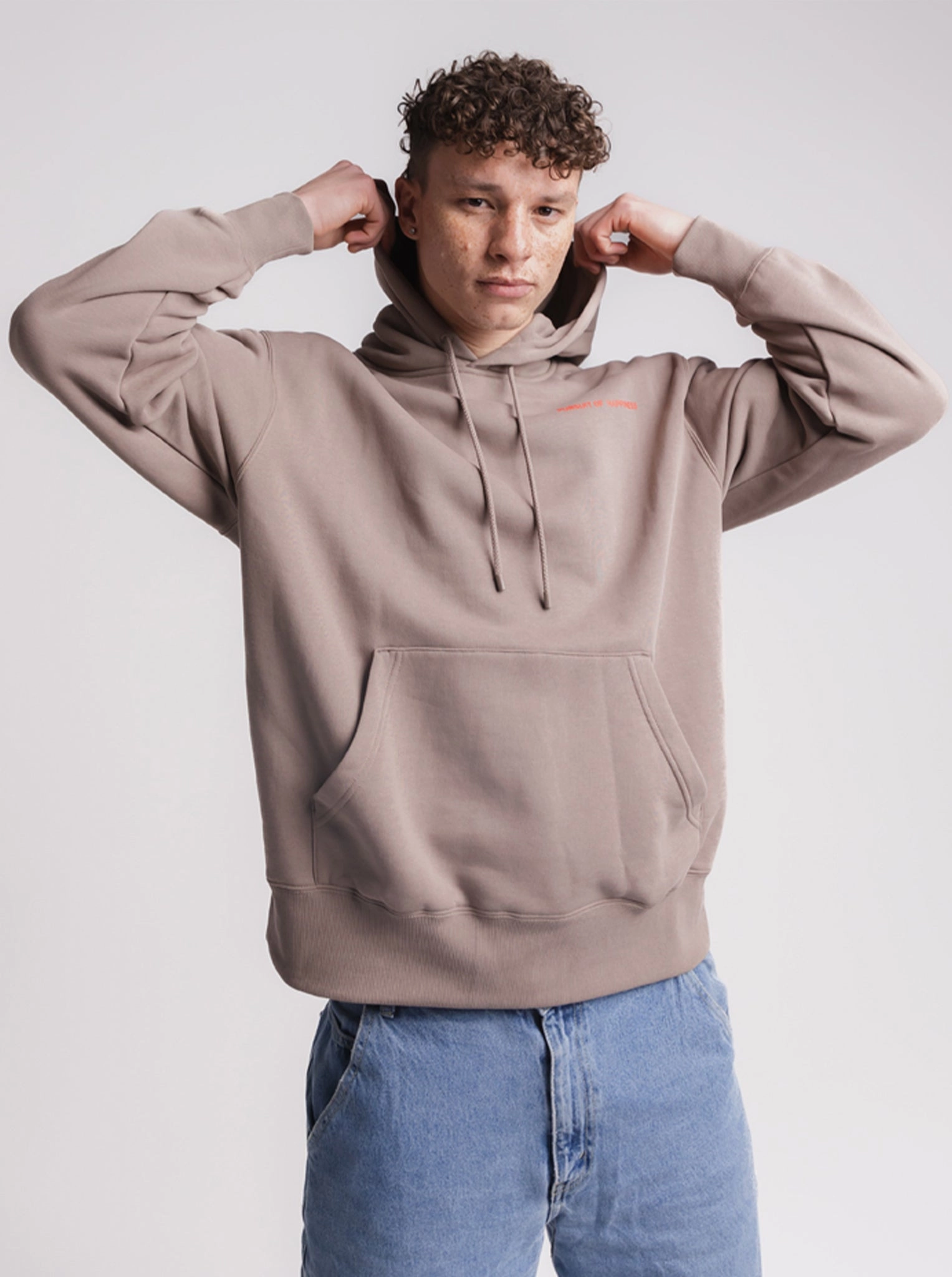 Dream Big Heavyweight Pullover In Washed Taupe Outdoor Scene City Scene