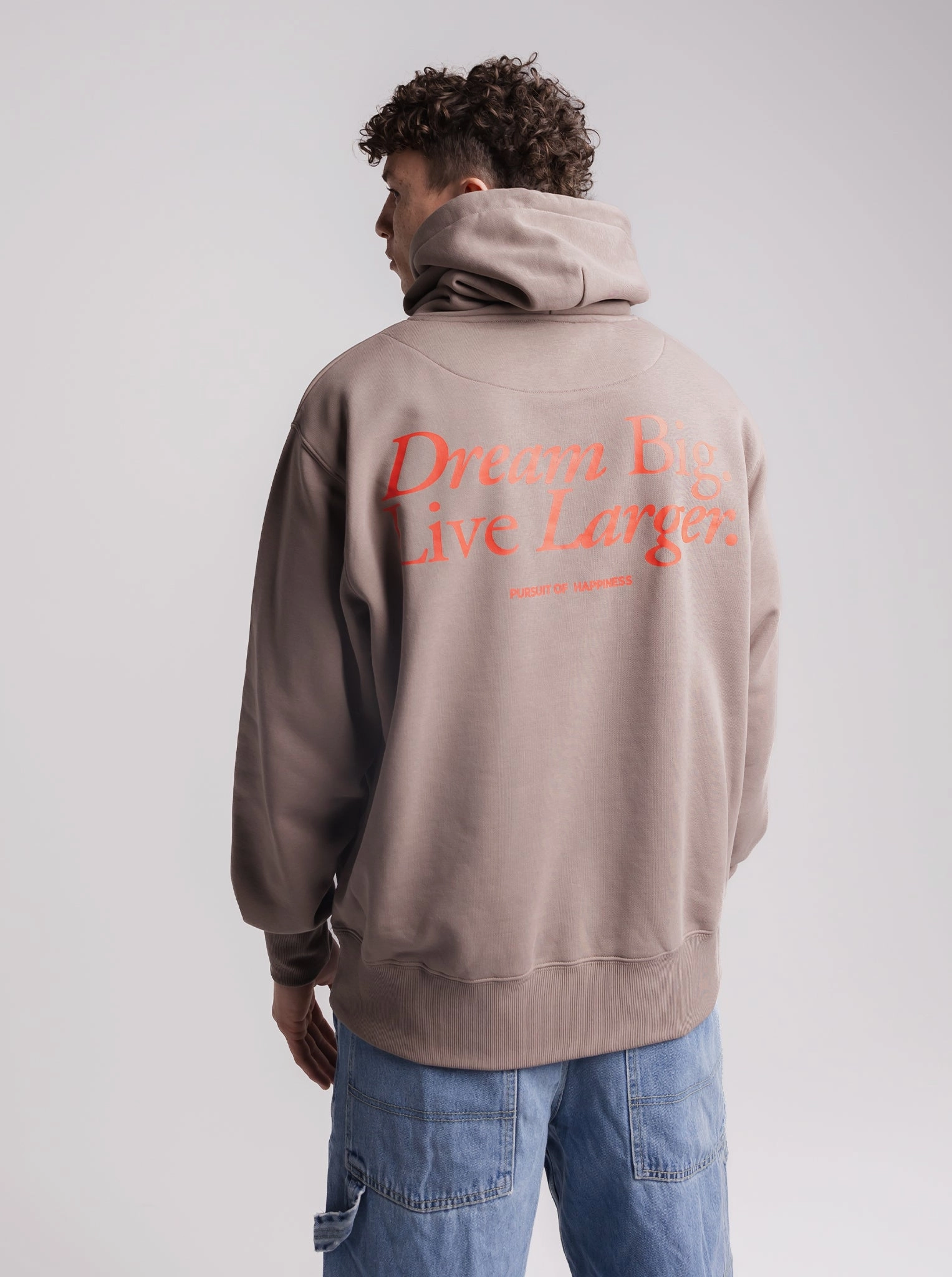 Dream Big Heavyweight Pullover In Washed Taupe Young Professional Shark like