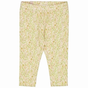 Dance Practice Fitness Lover Wheat x Rodinia Watercolor Grassland Leggings