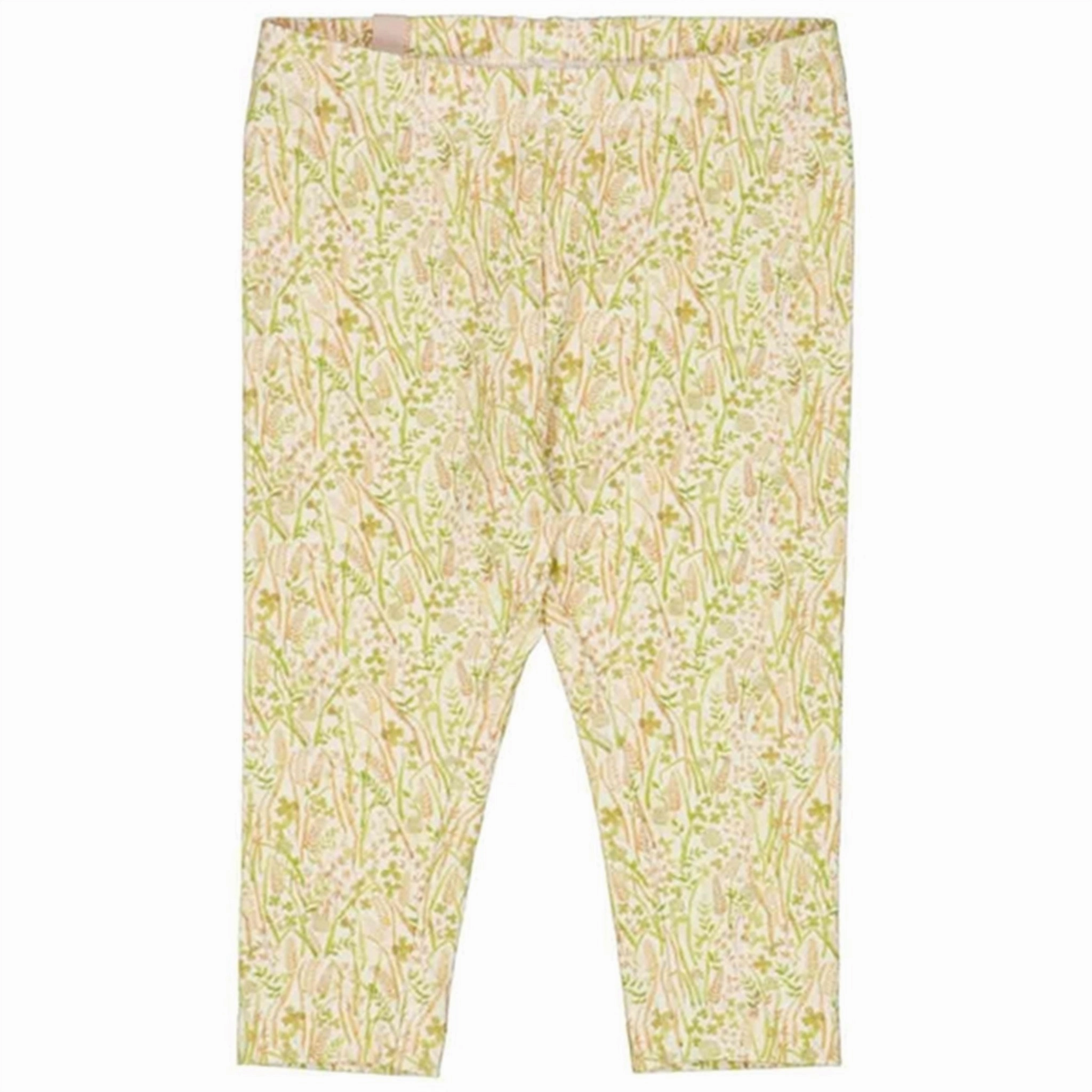 Dance Practice Fitness Lover Wheat x Rodinia Watercolor Grassland Leggings