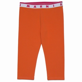 No Shrink Material Marni Nectarine Leggings