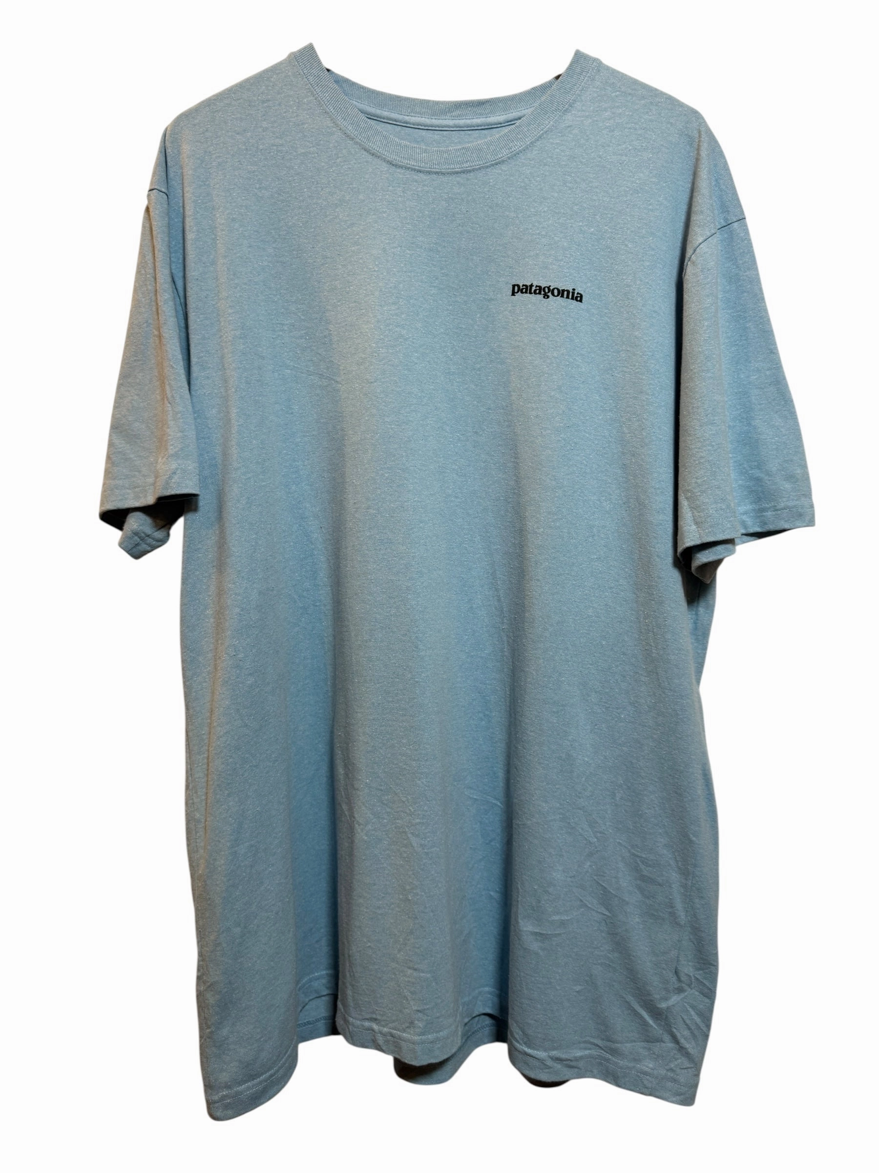 GarmentDyedTexture Patagonia Mens Blue T Shirt (Size XL)