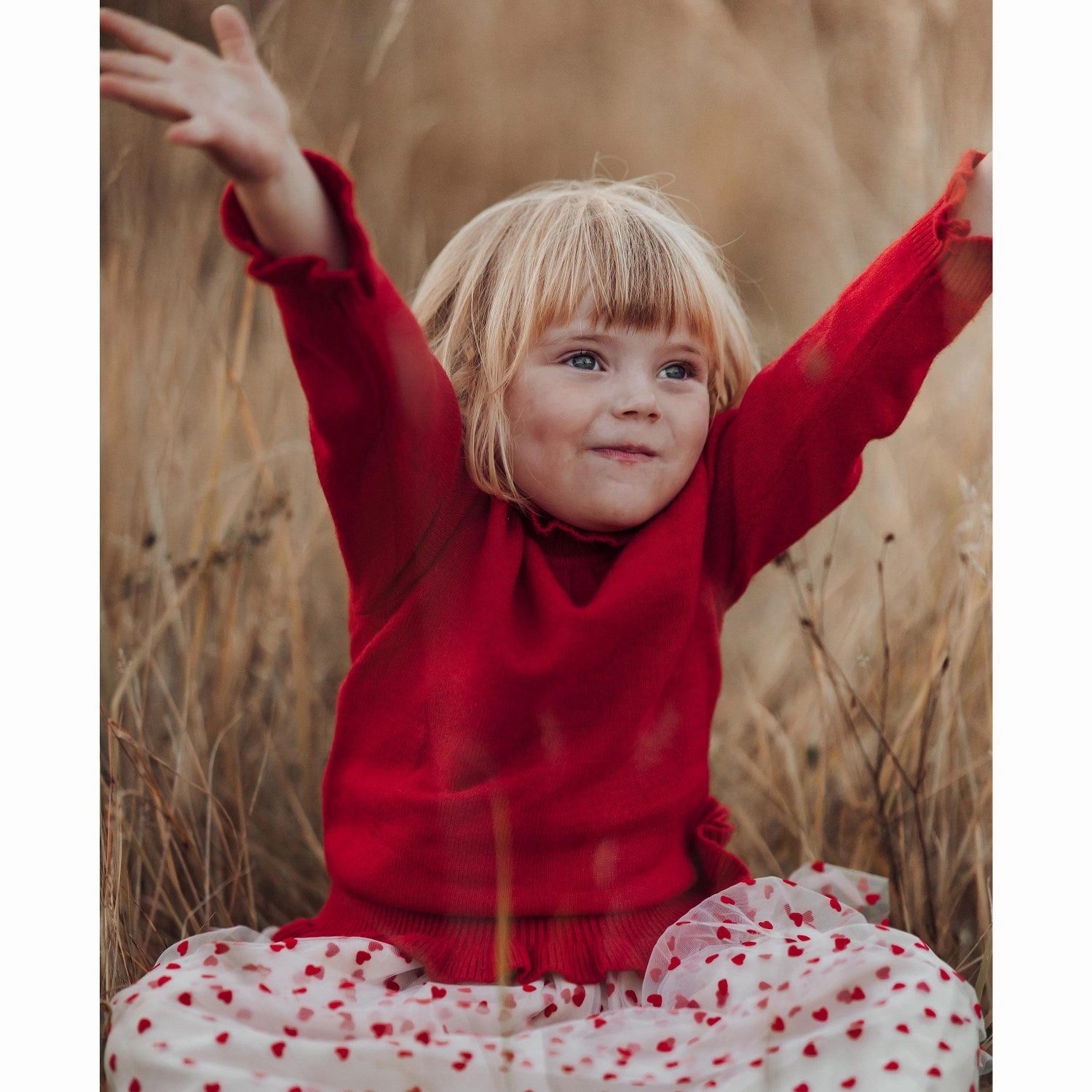 Heritage Inspired Bold Details Fliink Sandshell/ Pompeian Red Tulle Heart Skirt