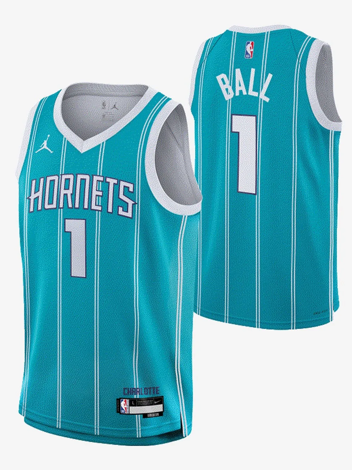 Icon Swingman Jersey Charlotte Hornets Youth Athletic gear