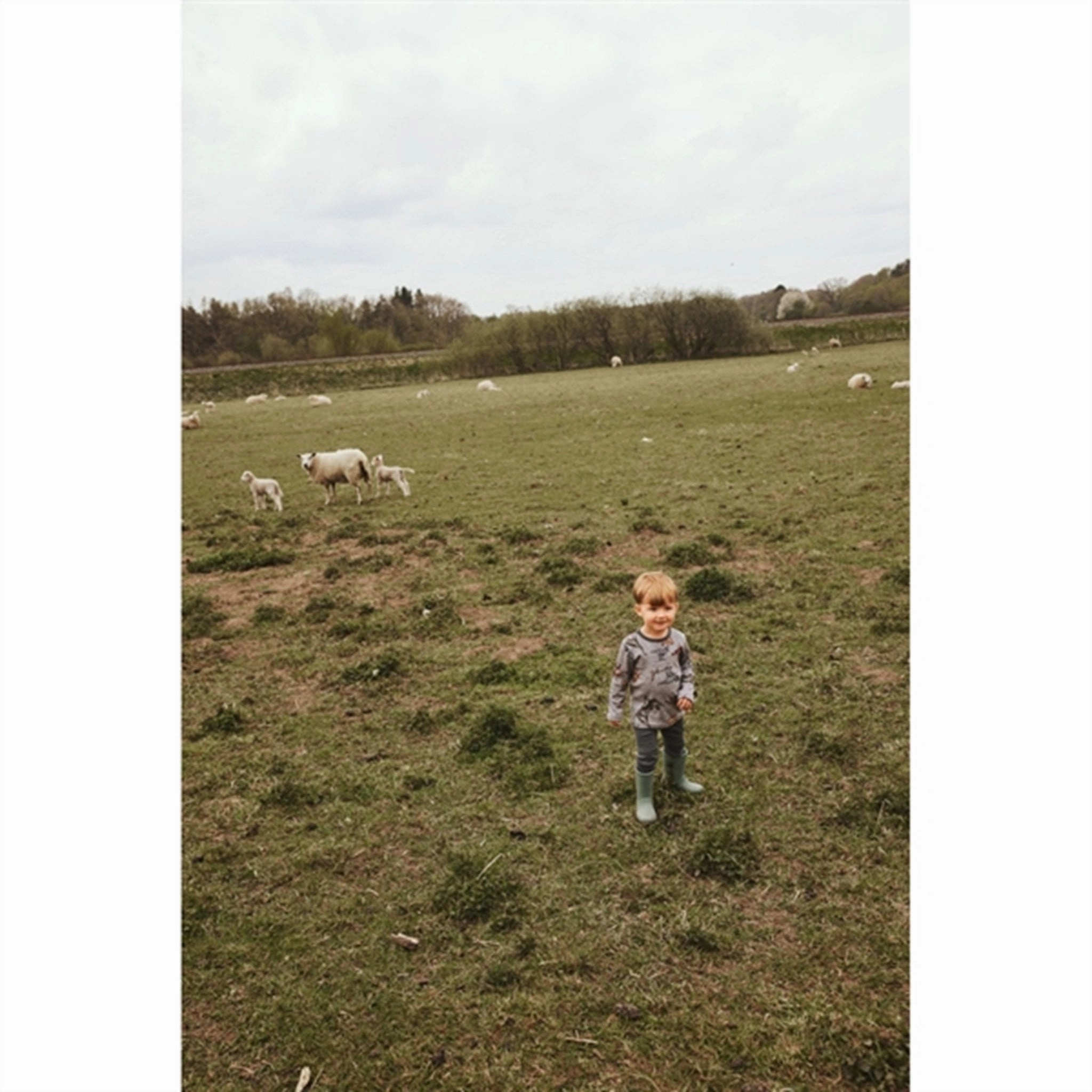 Fit Control Name it Iron Gate Willow Wool Pants