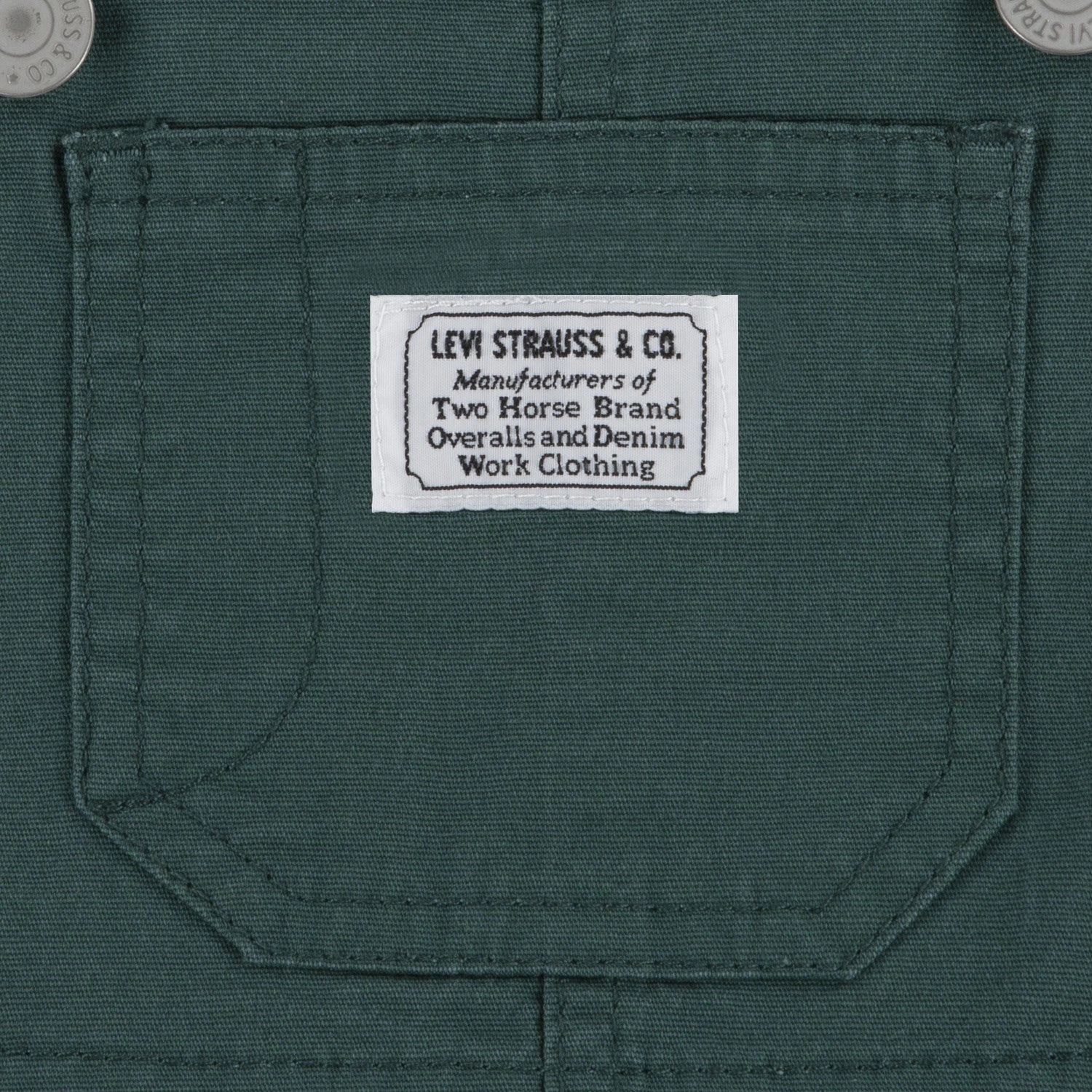 Levi's GREEN Carpenter Overalls Anti Odor Treatment