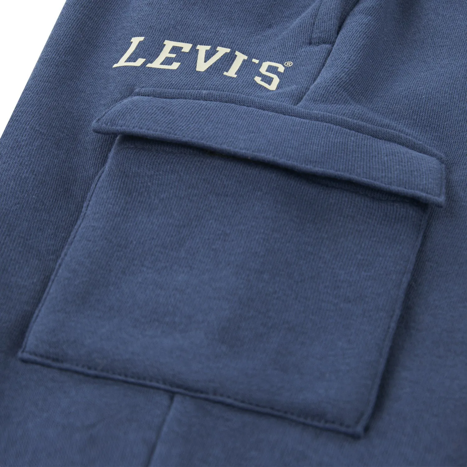 Online Shopping Levi's Big Dipper Cargo Jogger