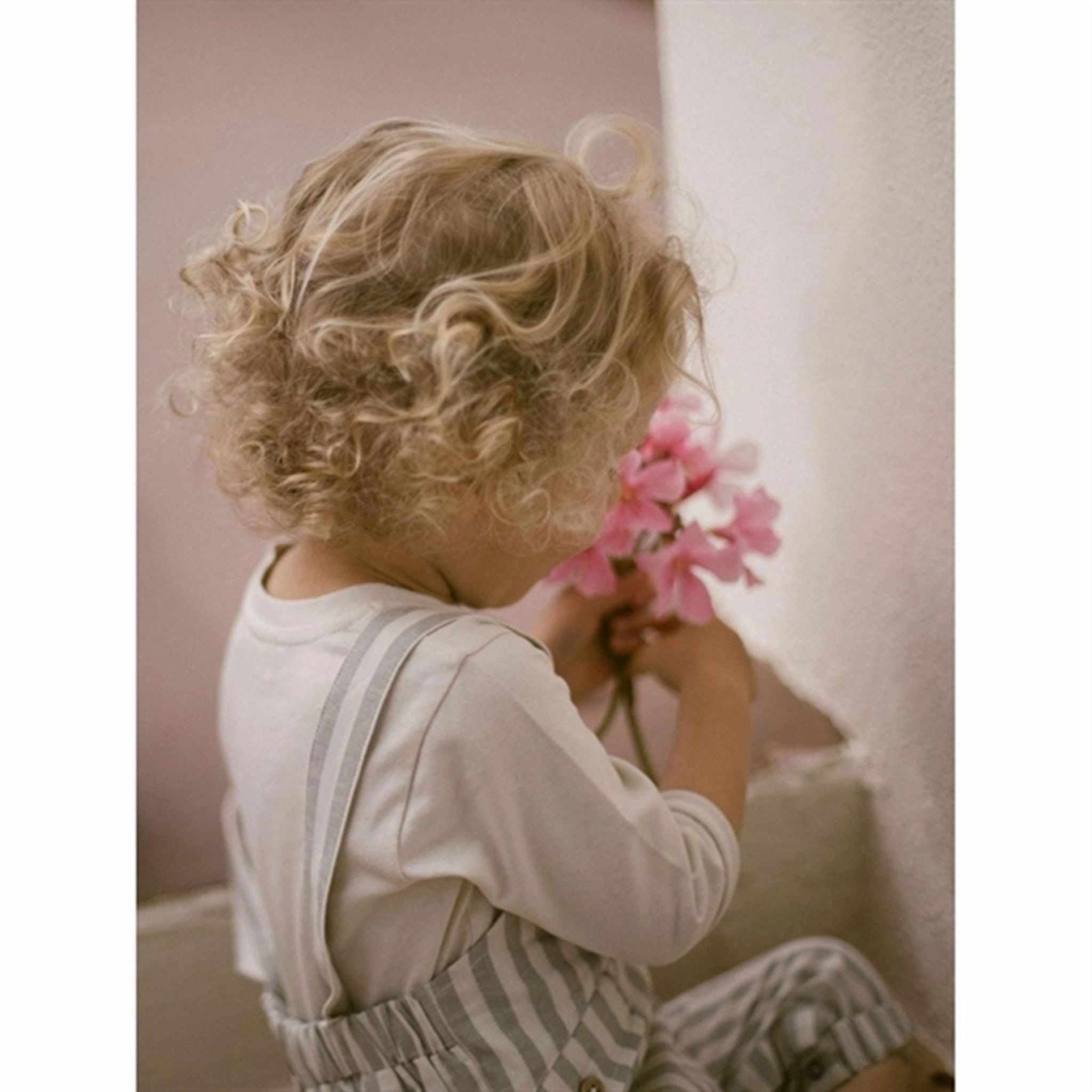 Stylish Waistband TaglessDesign Lil'Atelier Turtledove Dino Overall