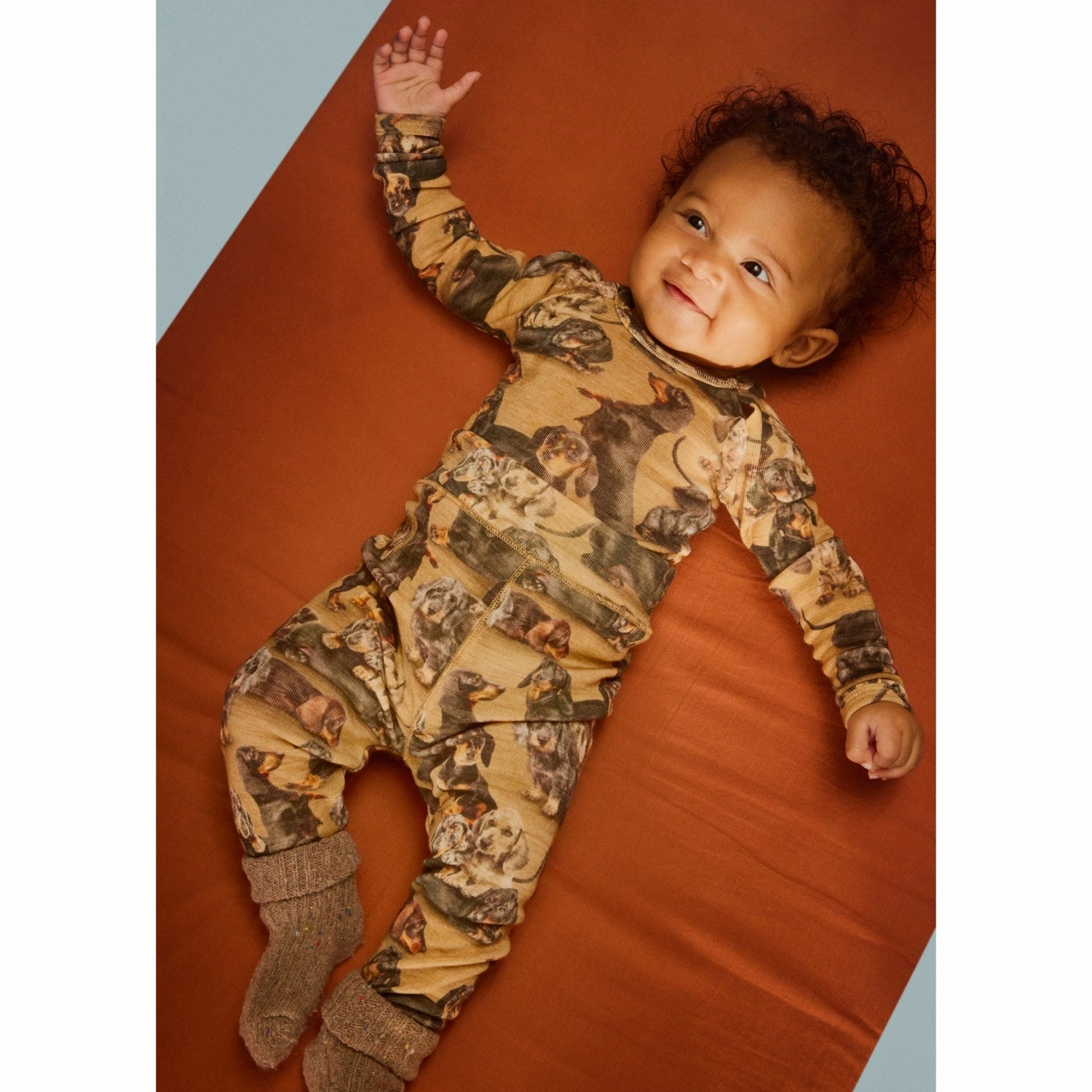 Molo Dachshunds Sting Wool Soft Pants Daily Gear