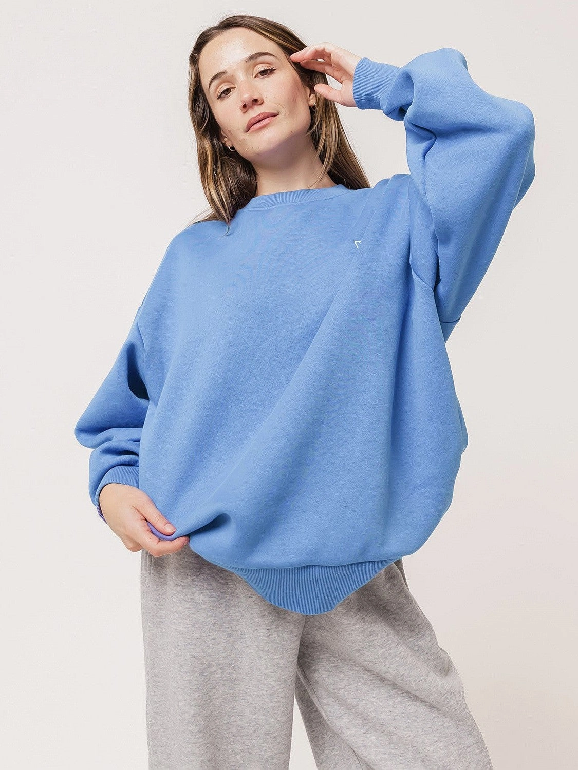 flight travel Frog like Branded Oversized Sweat Unisex