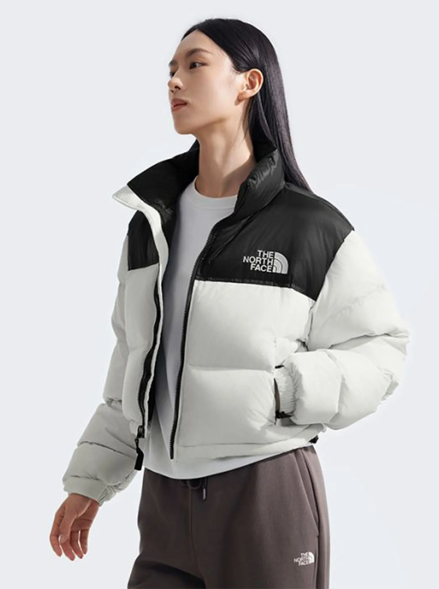 Nuptse Short Jacket single layer