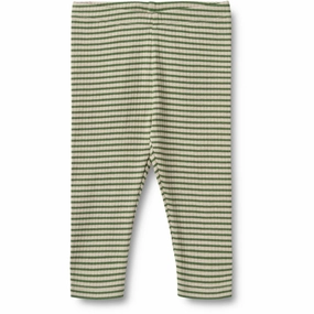 Fitness Training Beginner Level Wheat Elm Green Stripe Leggings Jules