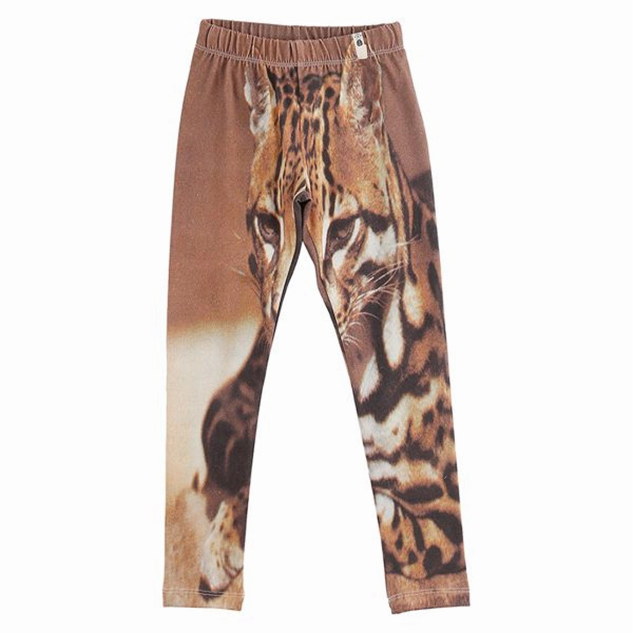 Invisible Waist Evening Walk Travel Enthusiast Popupshop Cat AOP Leggings