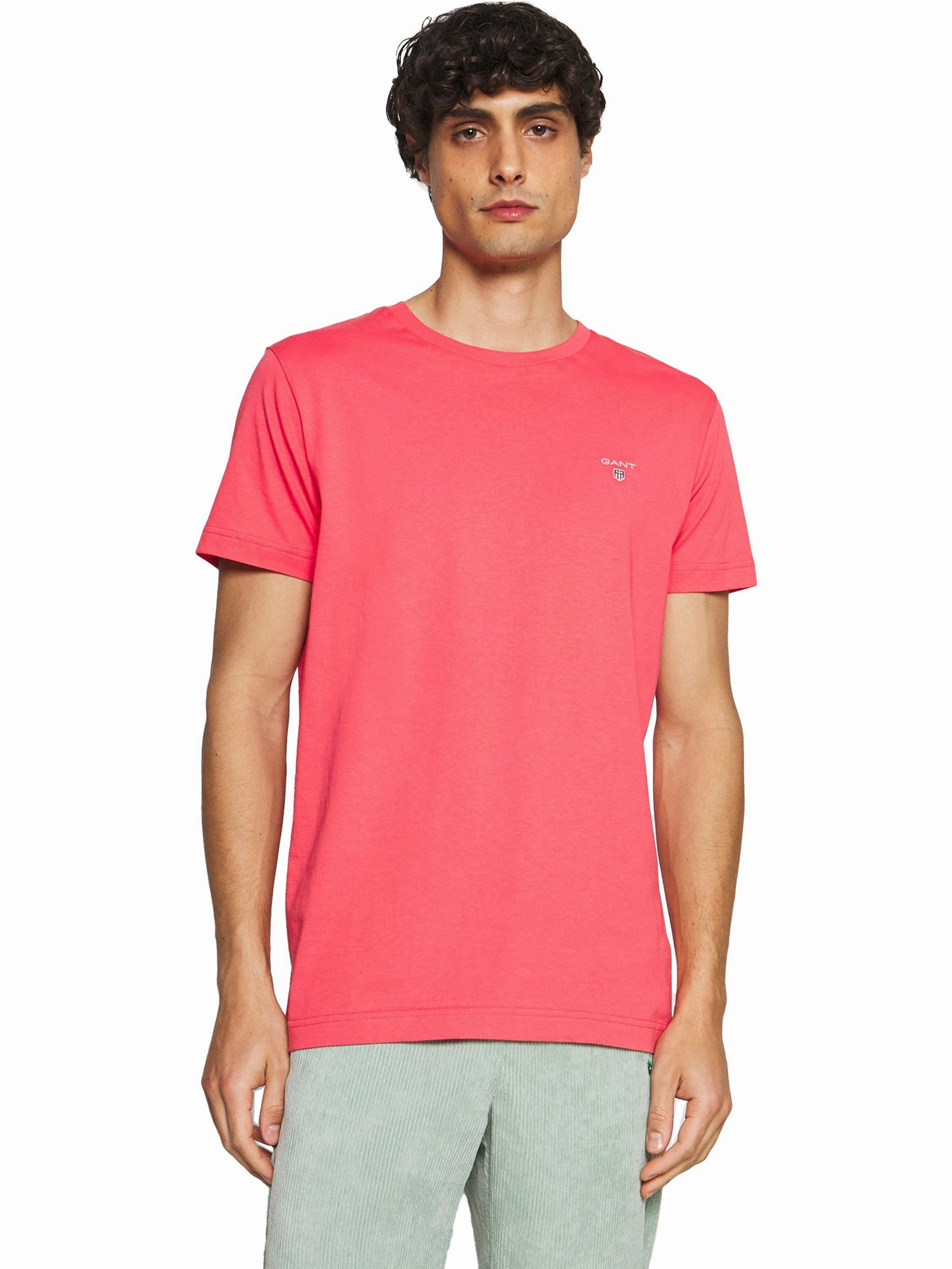 Summer Essential Gant Mens T shirt | Original