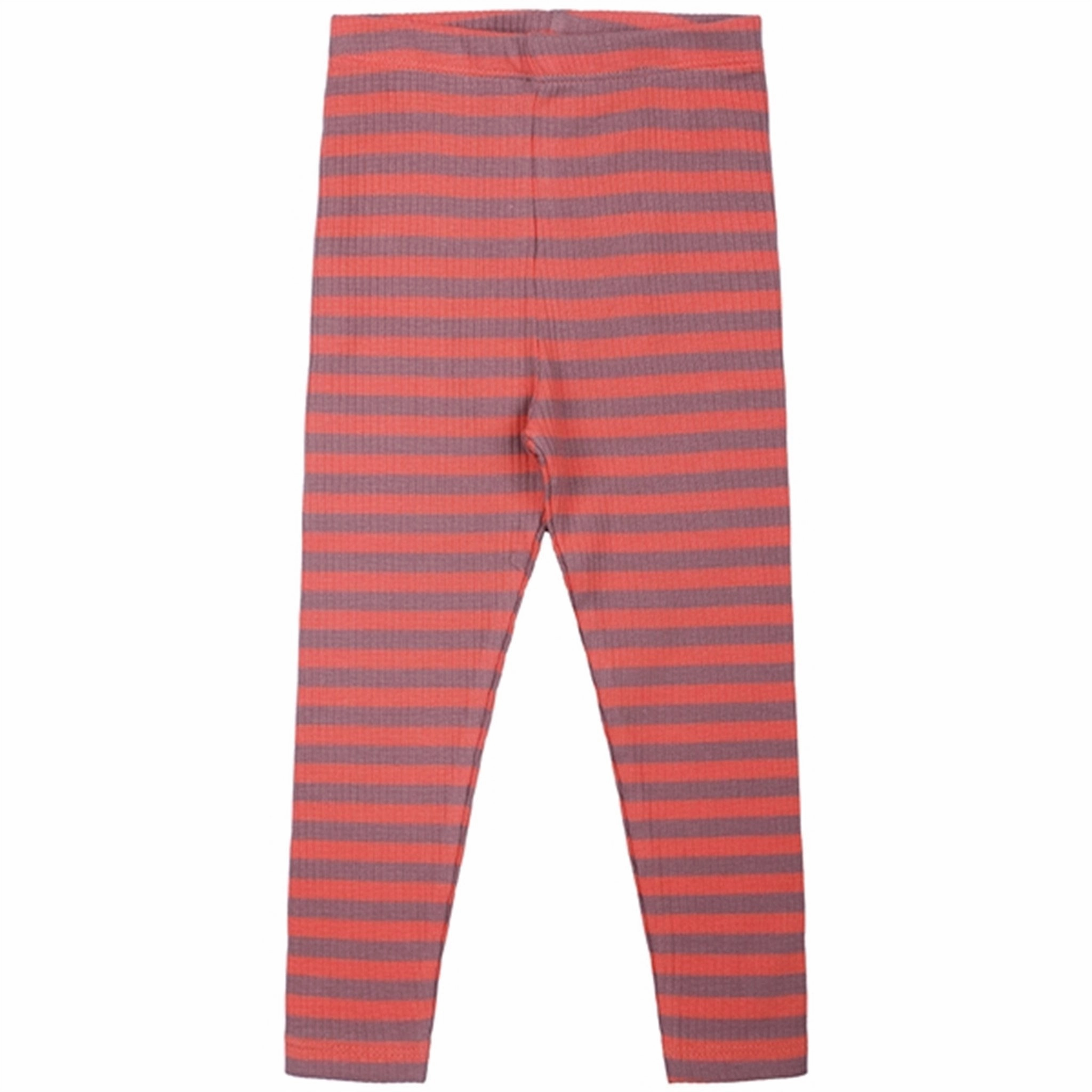 THE NEW Siblings Emberglow Fro Rib Leggings Active Lifestyle Compression Support