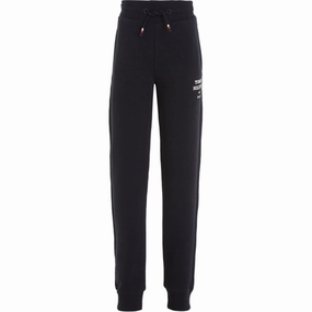 Heat-resistant Tommy Hilfiger Th Logo Sweatpants Desert Sky